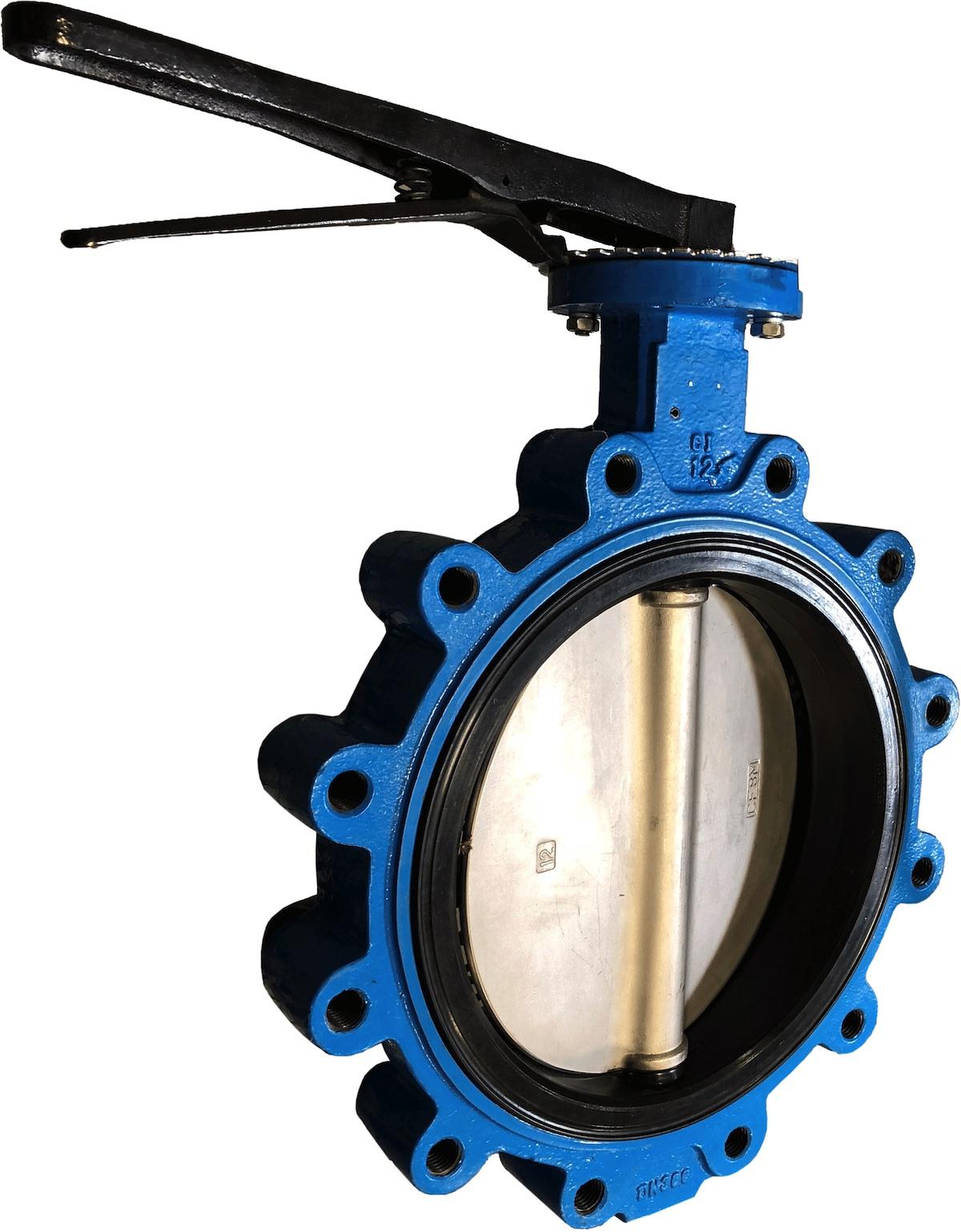 DI NP Disc Buna Seat Size 10 Lug Butterfly Valve